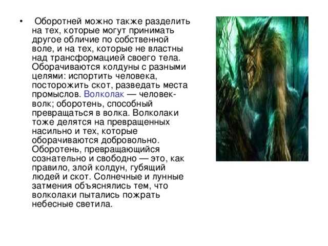 К чему снится оборотень, сонник – оборотень во сне