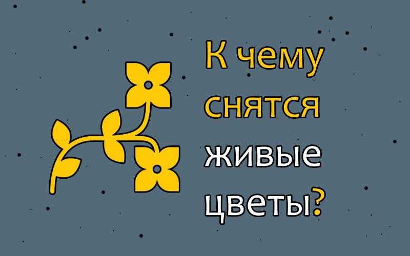 К чему снится подарок, сонник – подарок во сне