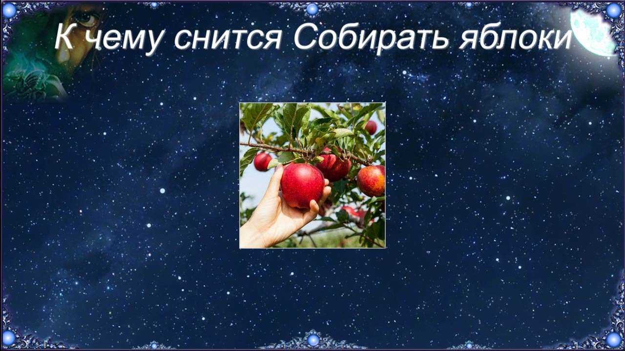 К чему снится яблоня