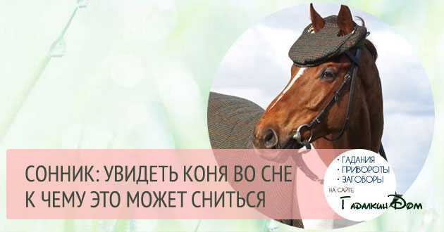 К чему снится лошадь женщине и мужчине?