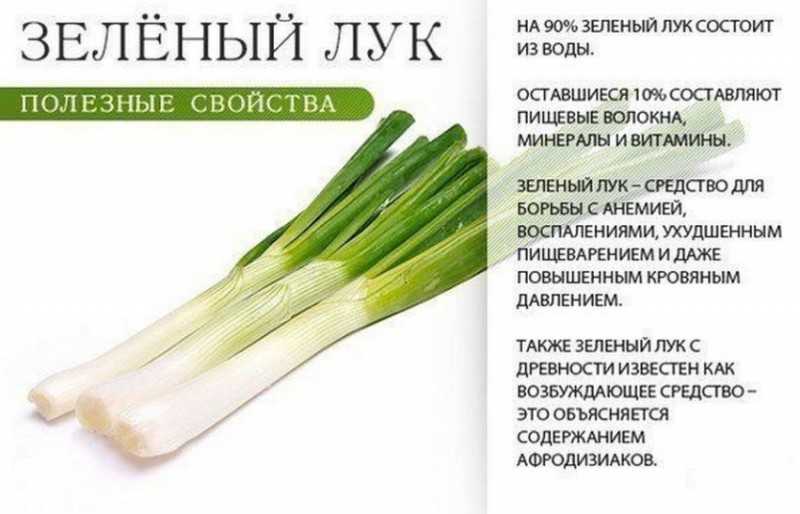 К чему снится репчатый лук по соннику? видеть во сне репчатый лук – толкование снов.
