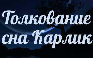 К чему снится карлик: значение сна, самое полное толкование сновидений по соннику - tolksnov.ru
