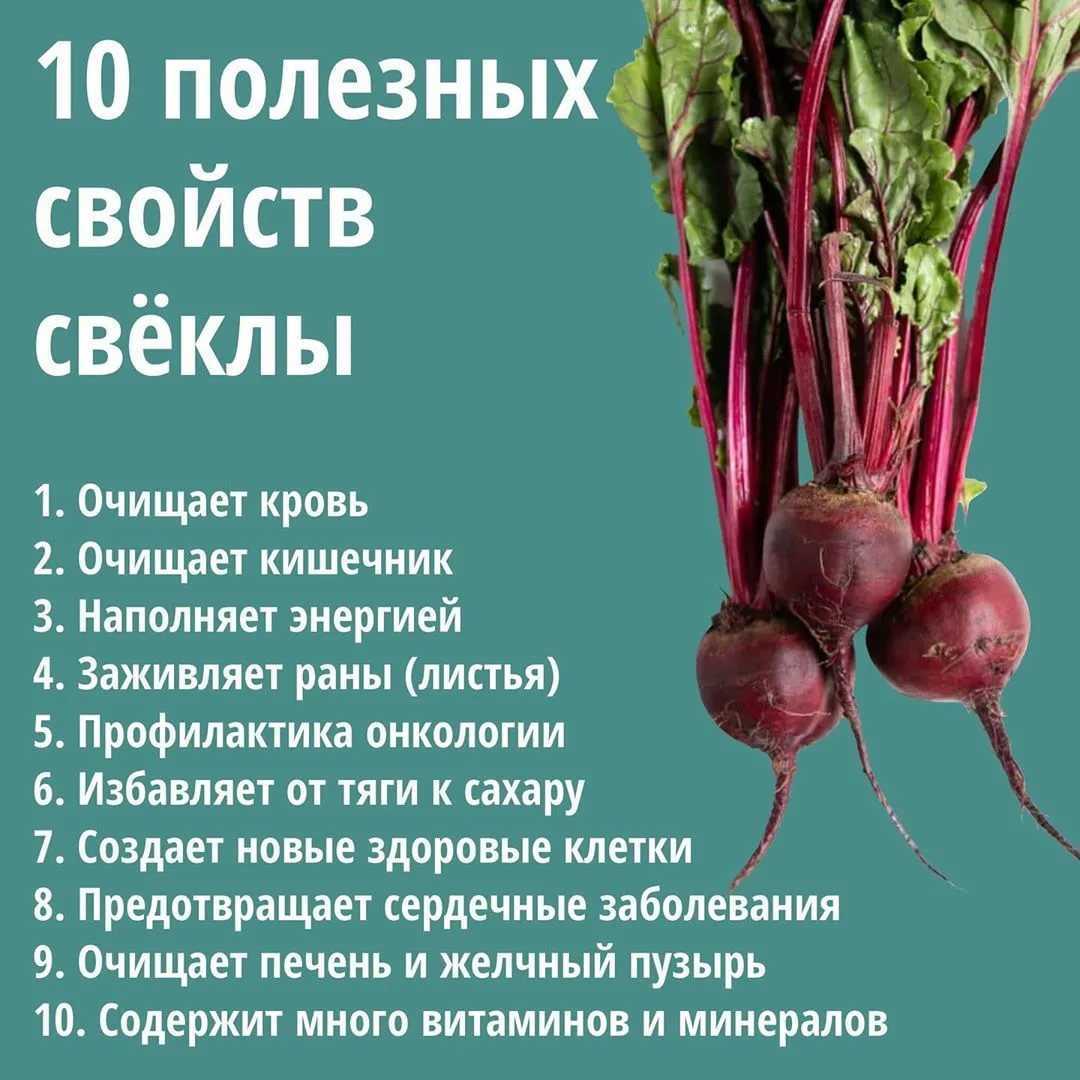 «сонник свекла приснилась, к чему снится во сне свекла»