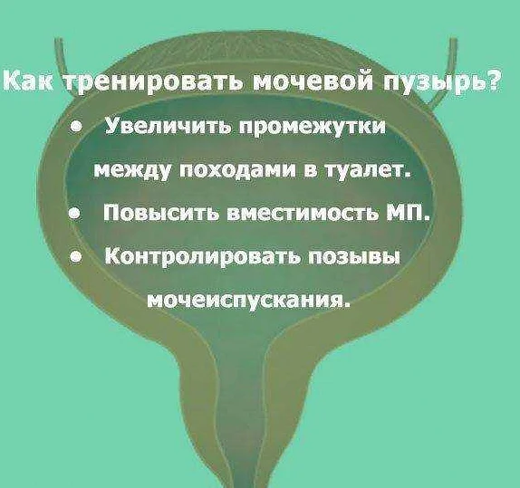 К чему снится  писать во сне — по 90 сонникам! если видишь во сне писать что значит?
