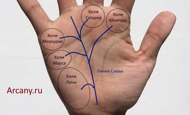 Холм нептуна на руке – значение, расшифровка знаков на нём