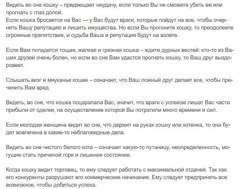 К чему снится маленький черный котенок по разным сонникам