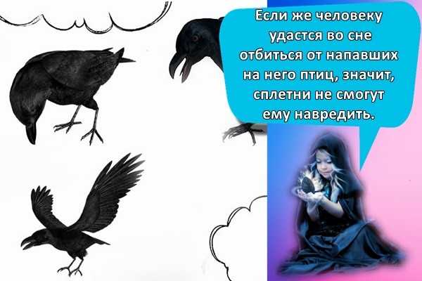 К чему снятся вороны дома и в квартире