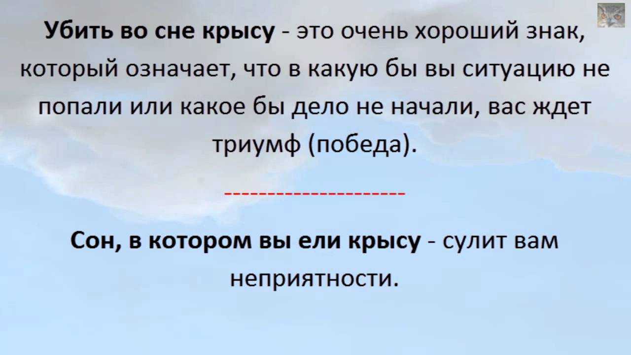 К чему снятся крысы женщинам и мужчинам