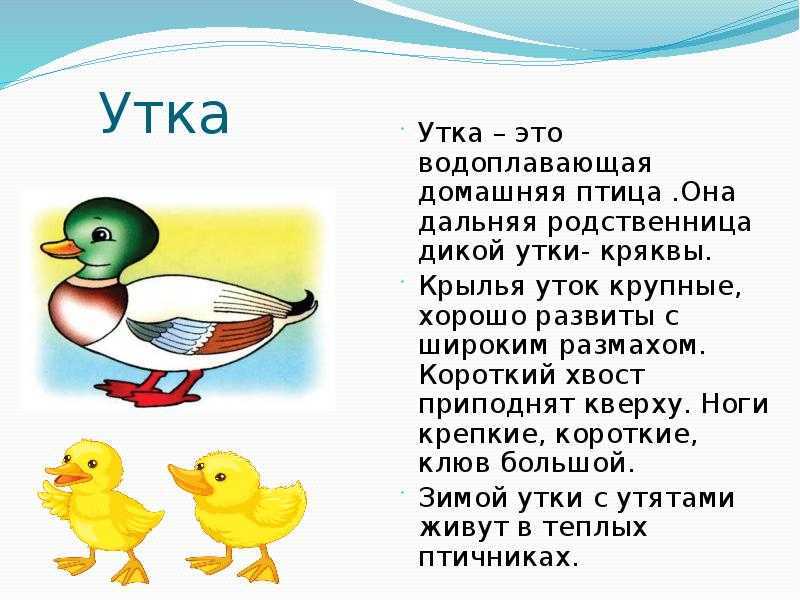 К чему снится жареная утка