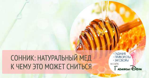 Сонник мёд: к чему снится и что означает сон?