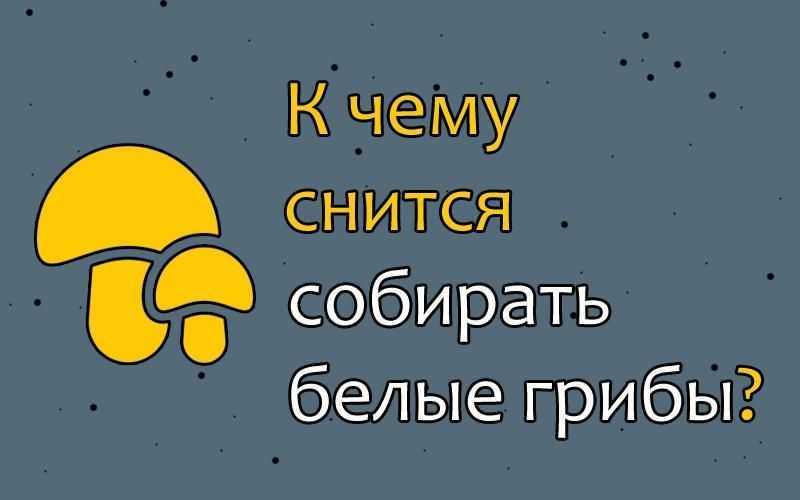 Сонник есть мухомор во сне