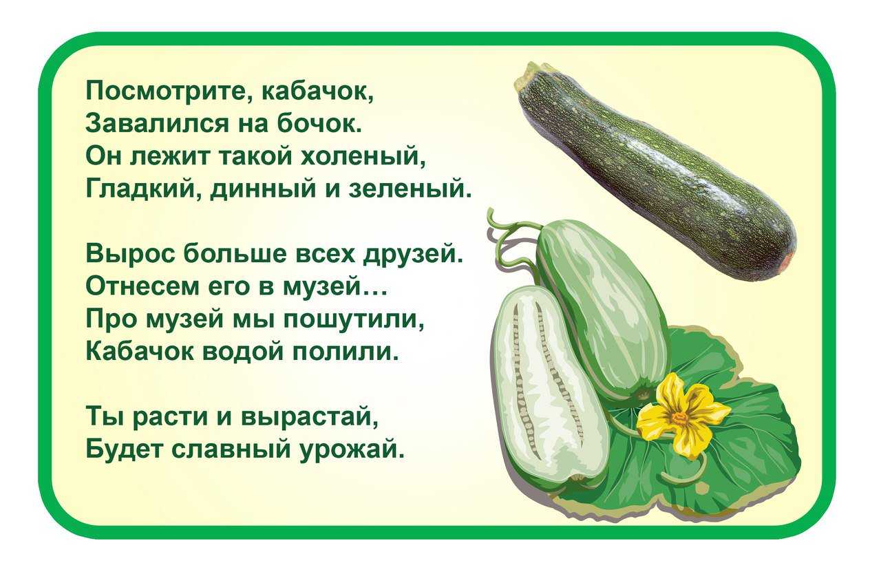 Сонник овощи к чему снится овощи во сне?