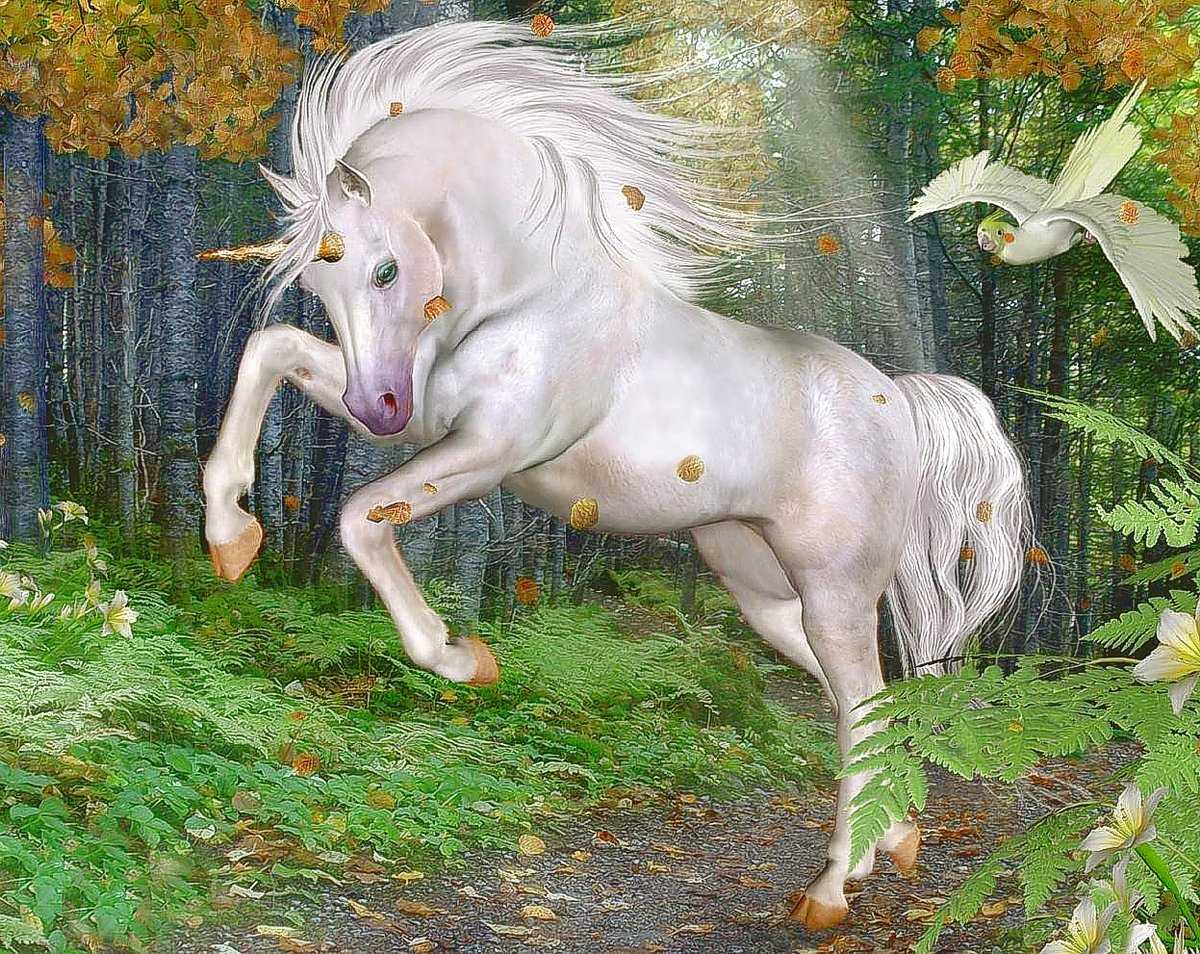 Сонник единорог, к чему снится единорог, во сне единорог