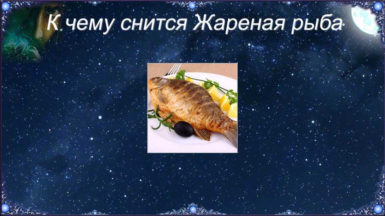 Сонник: аквариумные рыбки