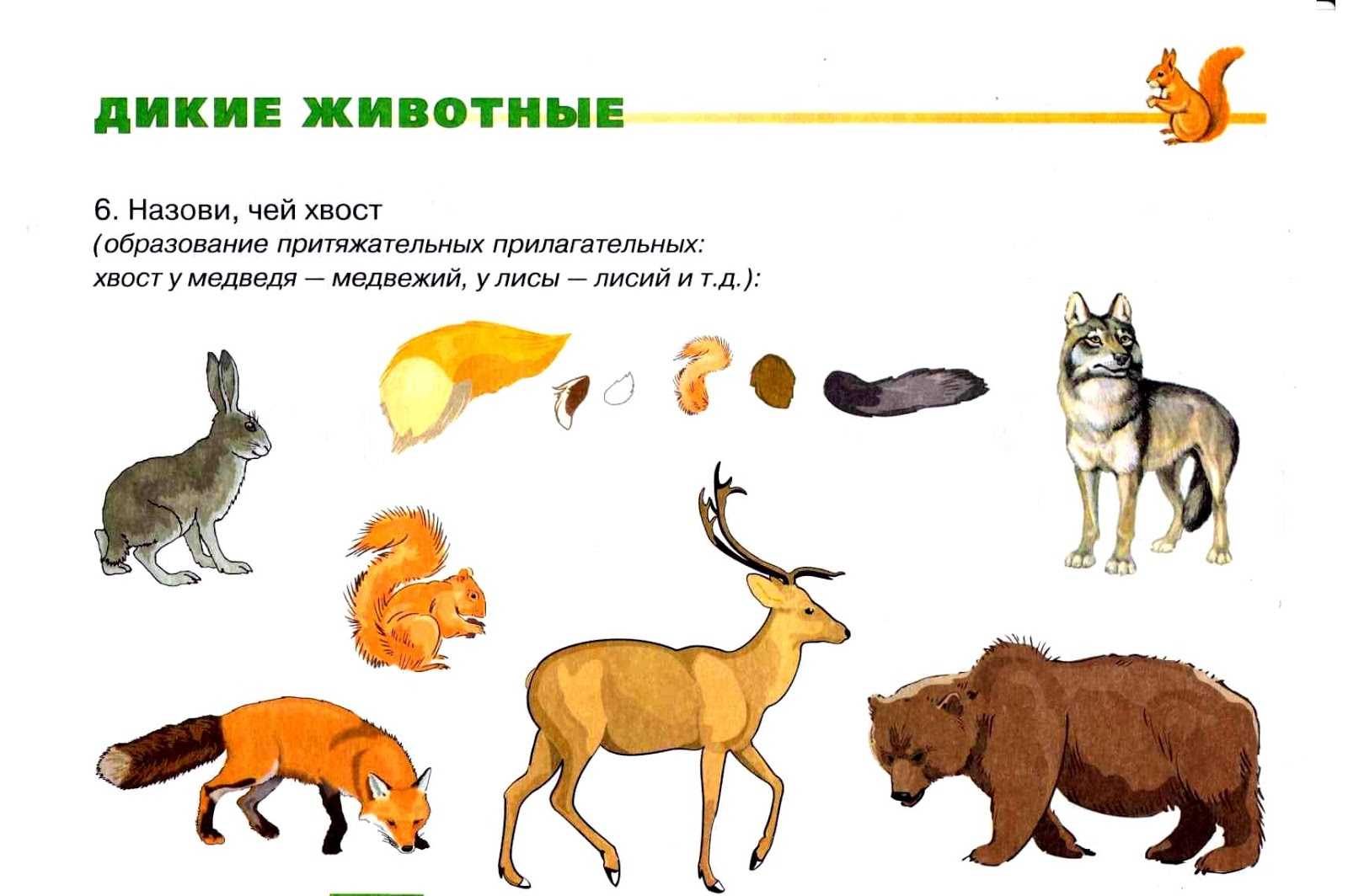 Сонник животные, животное, к чему снится животные, животное