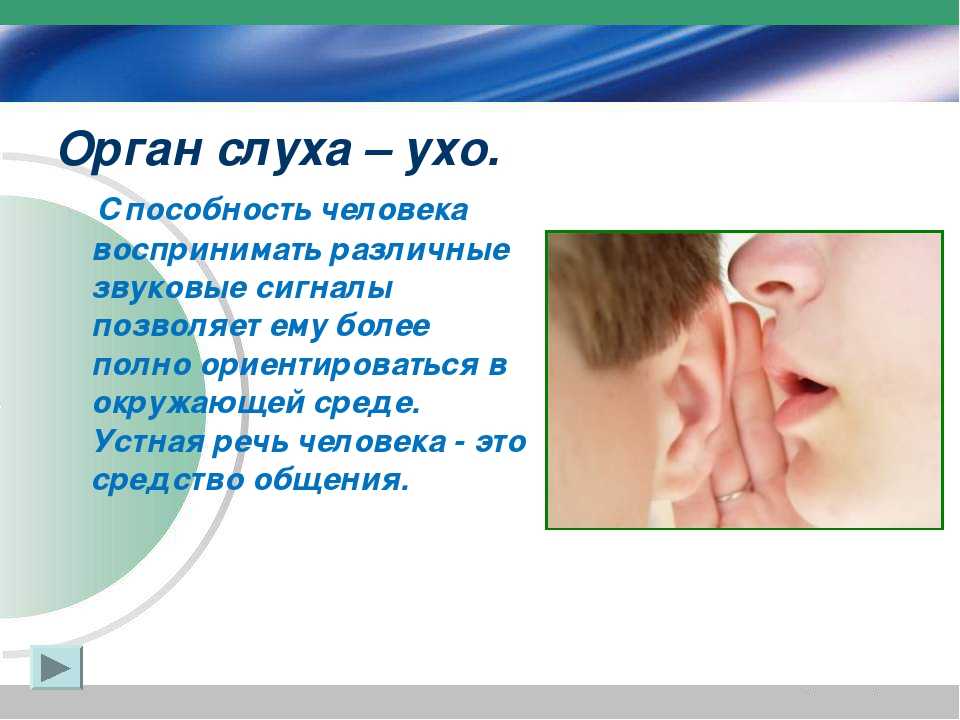 К чему снятся уши? сонник - ухо или уши во сне.