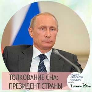 Если вам приснился президент: значение сна про путина, к чему приснился обед или любовные отношения с президентом