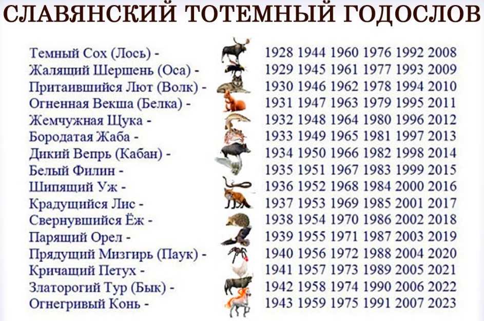 К чему снятся утки: живые и мертвые, на воде и в воздухе, что означает по соннику охотиться и поймать птицу