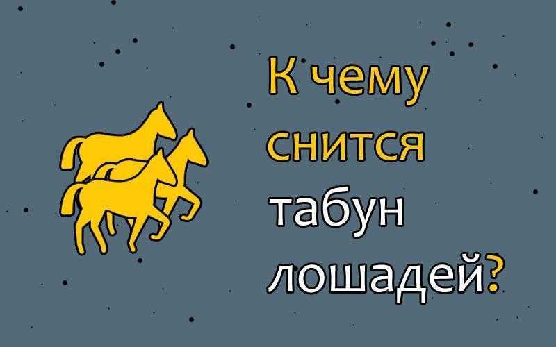 К чему снится лошадь. видеть во сне лошадь - сонник дома солнца