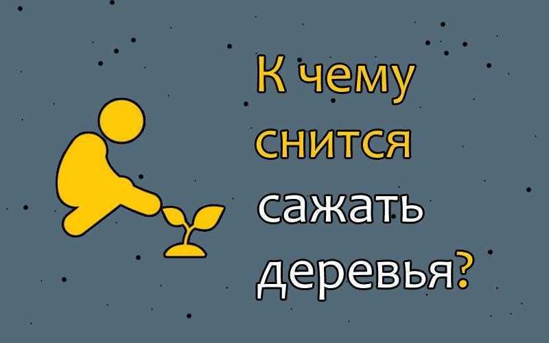К чему снится рассада, сонник рассада во сне, значение снов про рассаду помидор, капусты, огурцов, перца