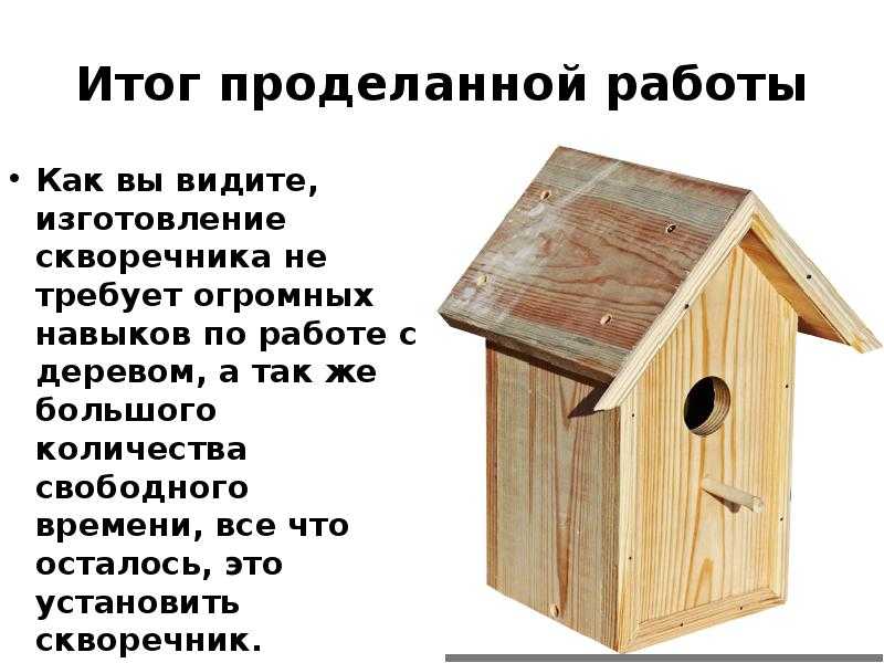 Сонник скворечник делать. к чему снится скворечник делать видеть во сне - сонник дома солнца