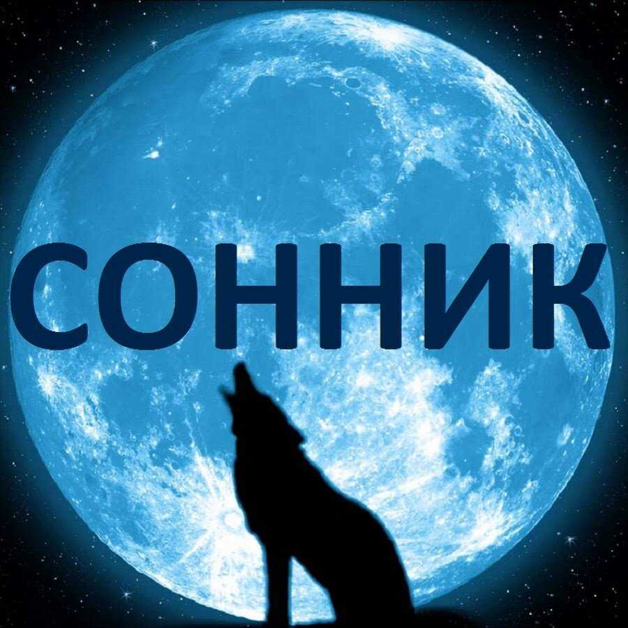 Sonnik.expert
