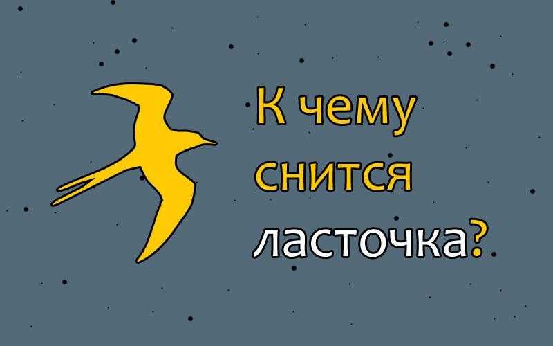 К чему снится ласточка: толкование сна — мир космоса