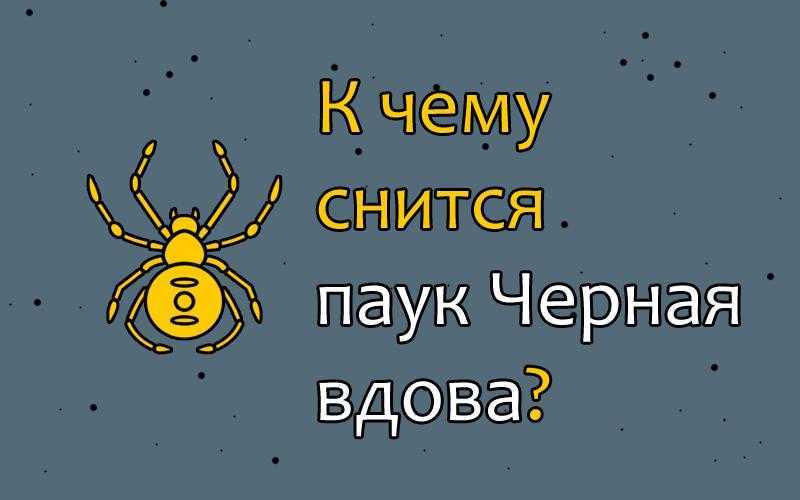 Сонник паук тарантул убить. к чему снится паук тарантул убить видеть во сне - сонник дома солнца