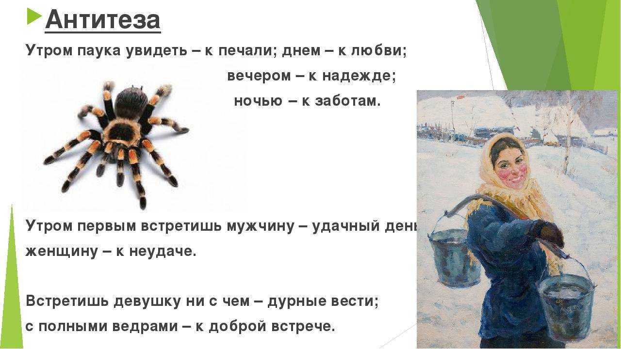 Суеверная встреча с пауками: приметы и их значения