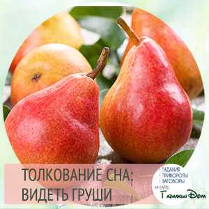 К чему снятся груши, толкование снов о грушах