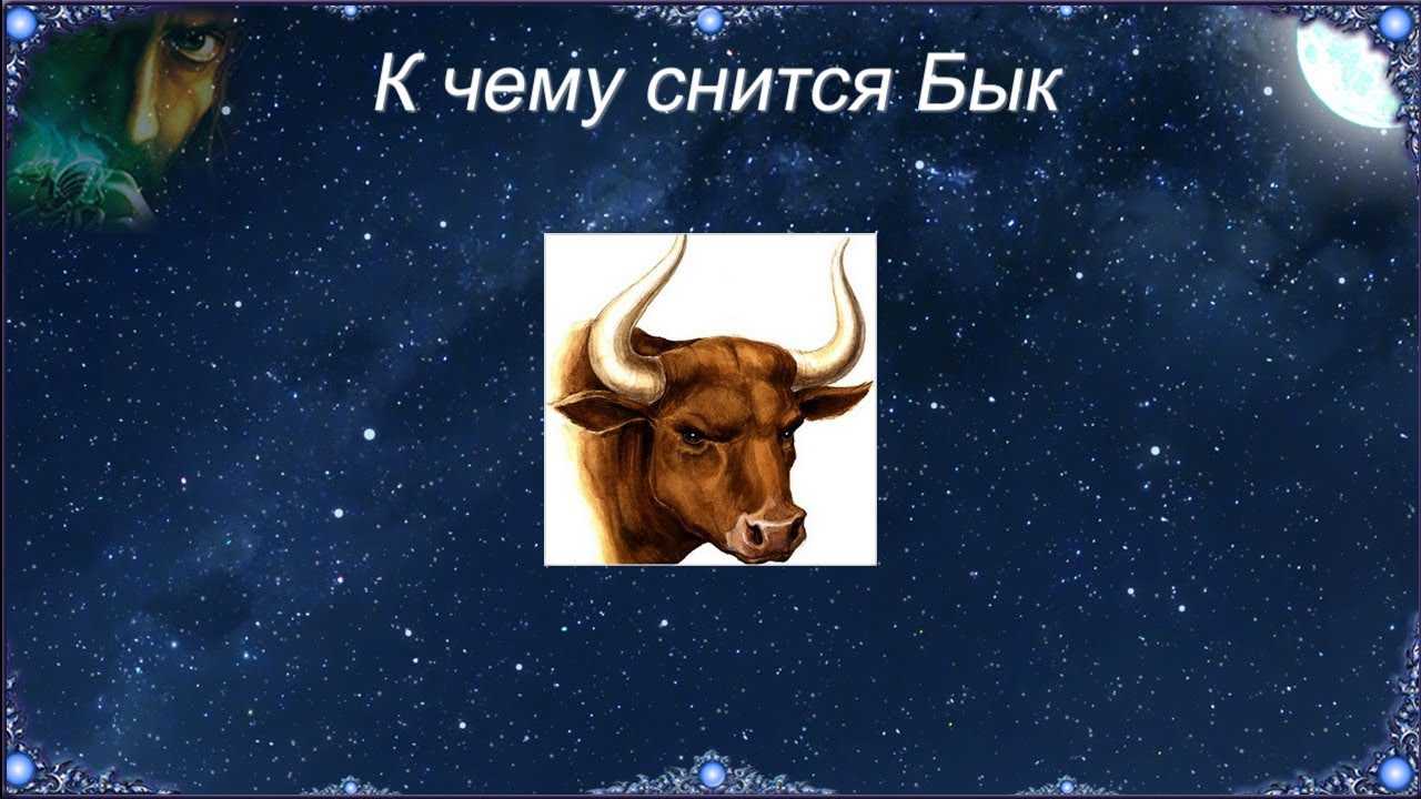 К чему снится бык: женщине и мужчине, большой и разъяренный, убегать от животного