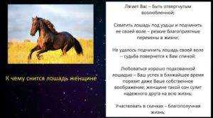 Видеть во сне лошадь: что означает?