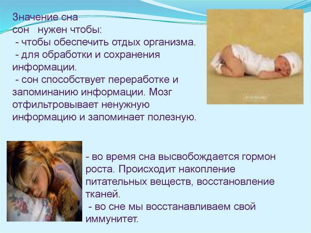 К чему снится гладить по спине. приснилось, что гладят по спине