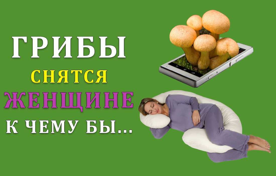 К чему снятся грибы: значение разных сонников, если женщина или мужчина собирает шампиньоны, грузди и опята