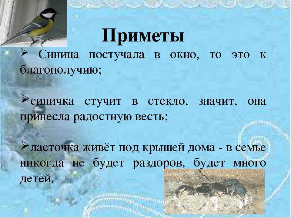 «петух к чему снится во сне? если видишь во сне петух, что значит?»