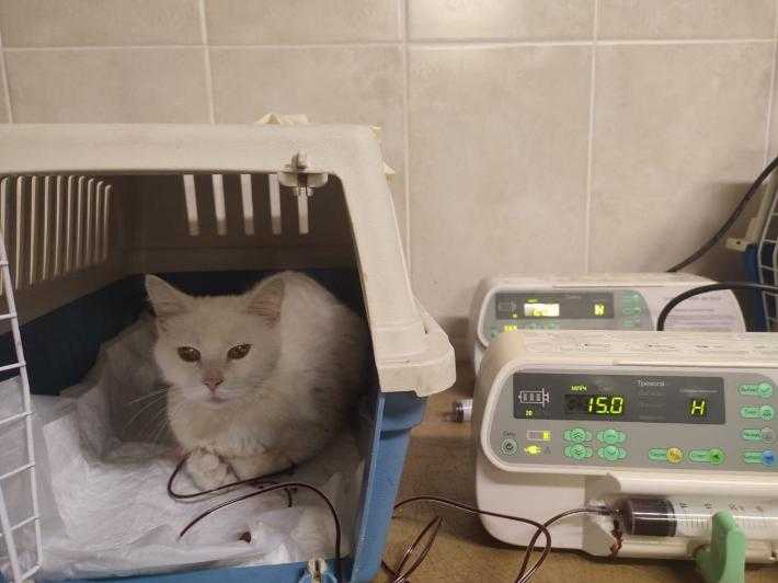 К чему снится дом?