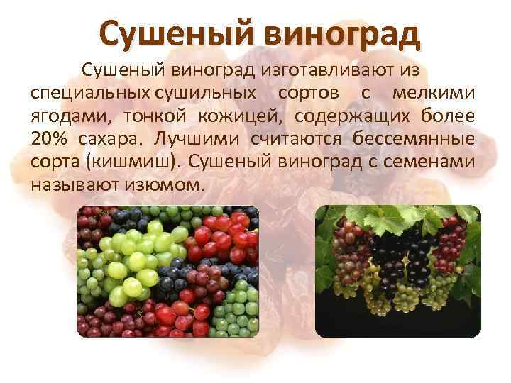 Сонник изюм, к чему снится изюм - пророк снов