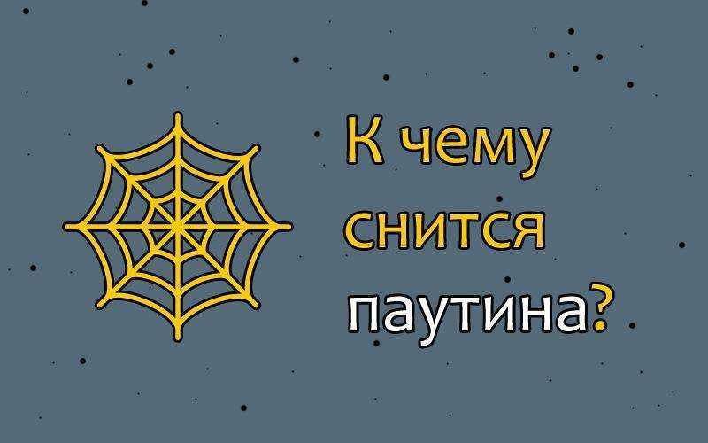 К чему снится паутина. видеть во сне паутина - сонник дома солнца