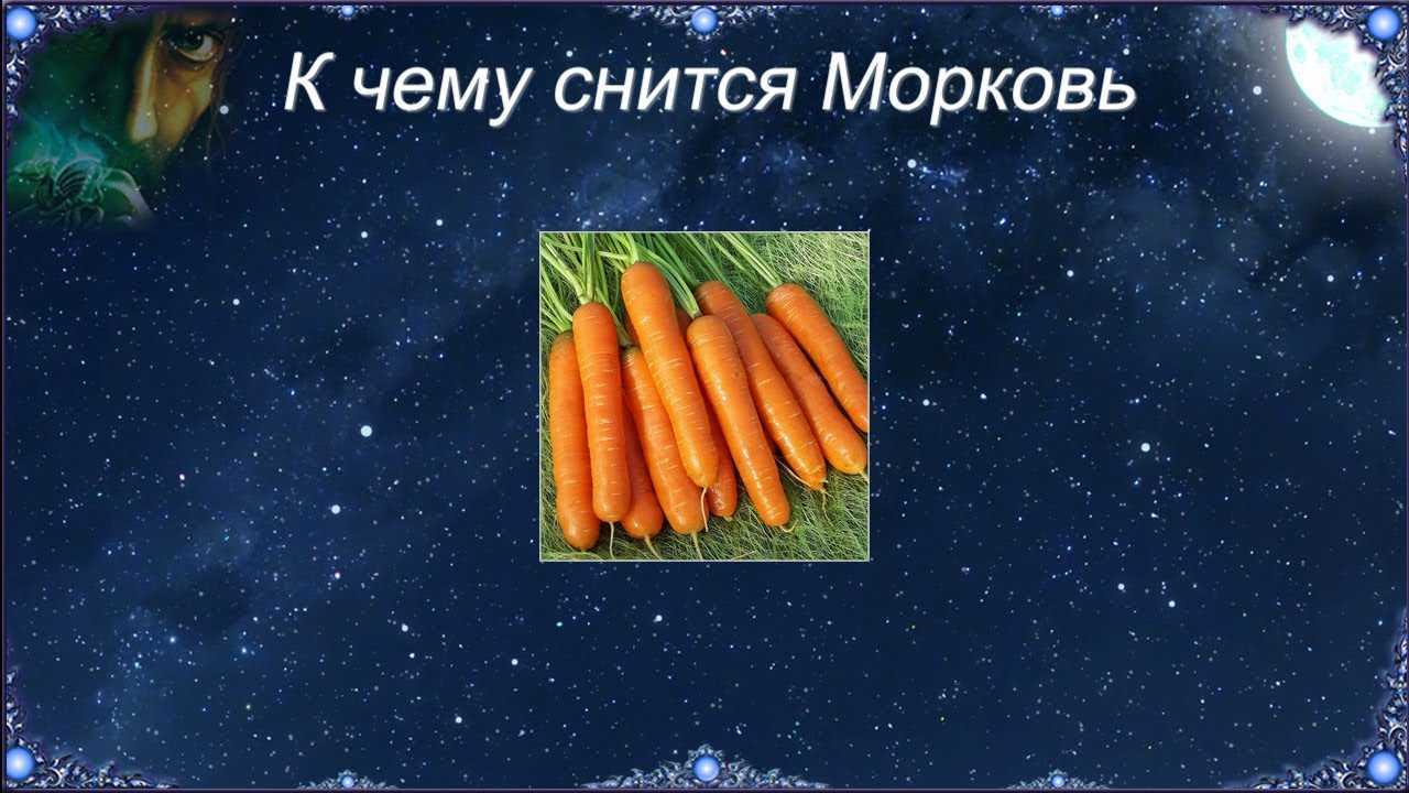 К чему снятся овощи — толкование по сонникам