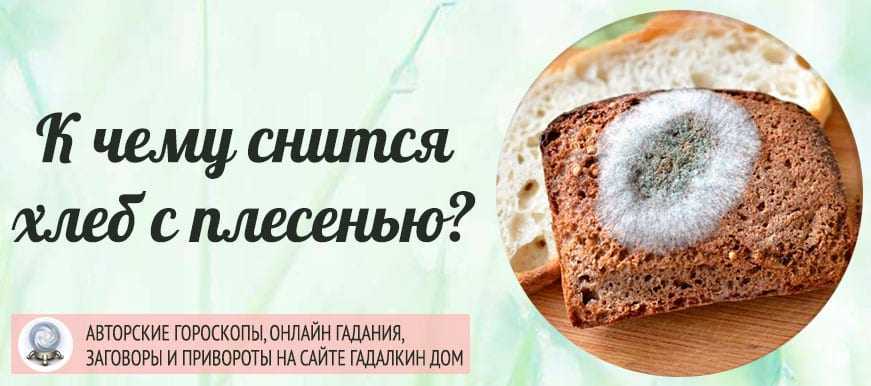 К чему снится печь пироги женщине: общие толкования видений из современных сонников, значение снов для девушки