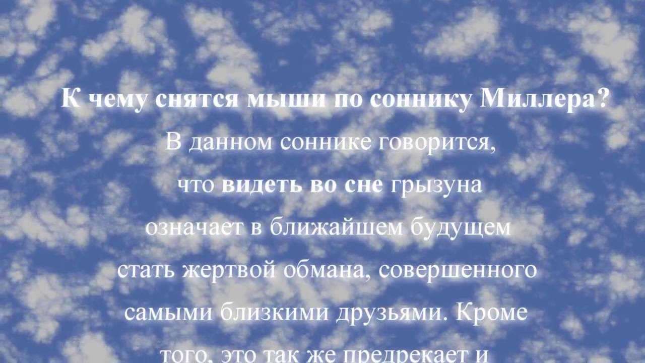 Сонник ловить маленьких мышей. к чему снится ловить маленьких мышей видеть во сне - сонник дома солнца