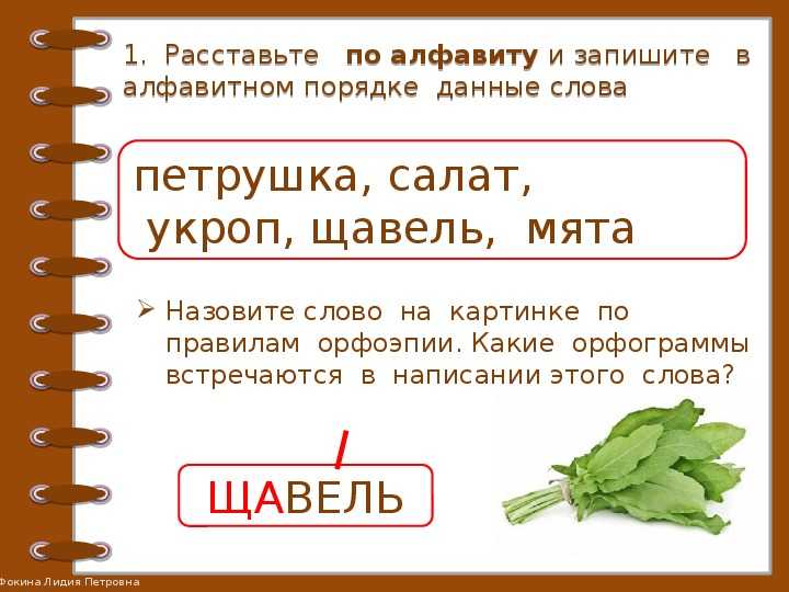 Приснился щавель — толкование по сонникам