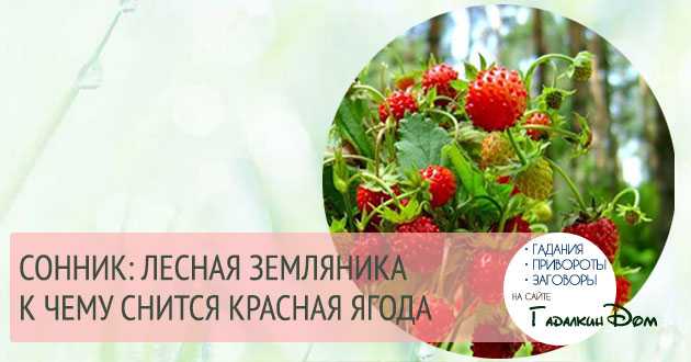 К чему снится земляника для женщин и мужчин