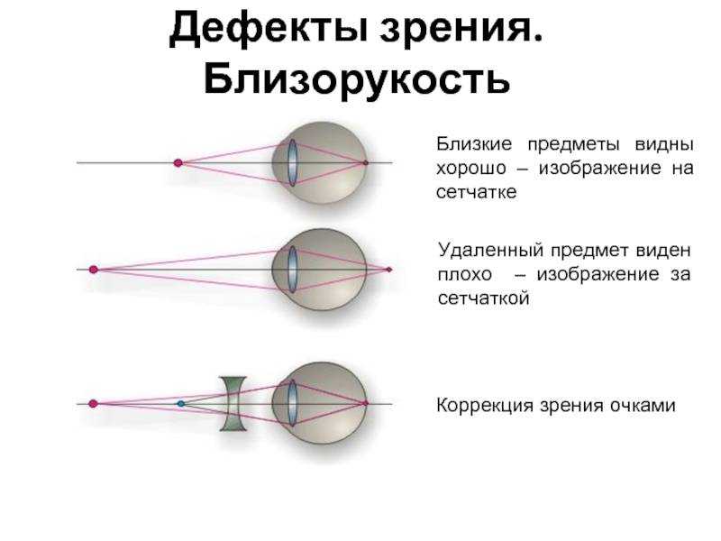 «лиса к чему снится во сне? если видишь во сне лиса, что значит?»