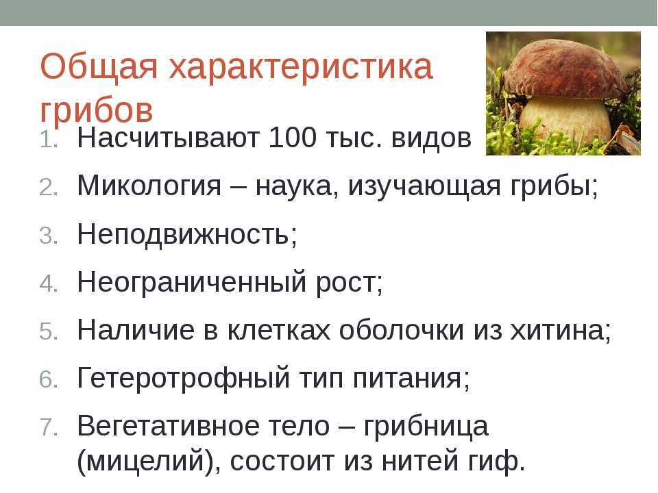 Видеть во сне грибы: толкование по сонникам
