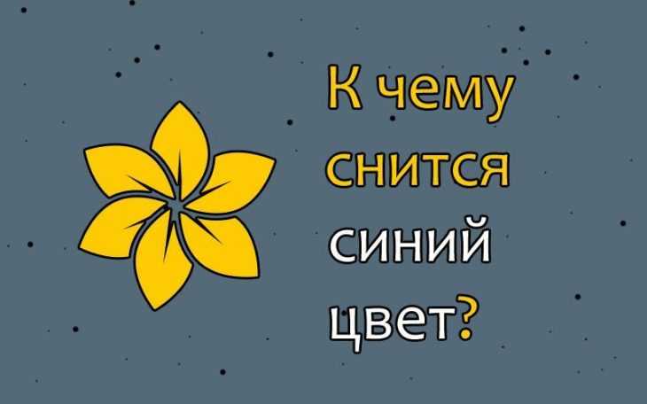 К чему снится цвет. видеть во сне цвет - сонник дома солнца