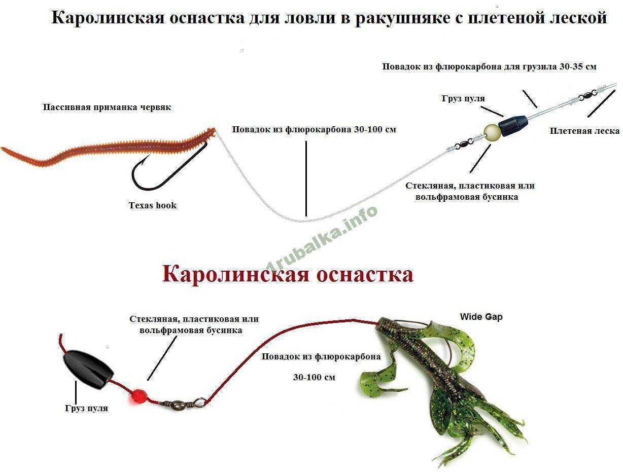 Сонник окунь. к чему снится, что означает сон, в котором приснилось окунь