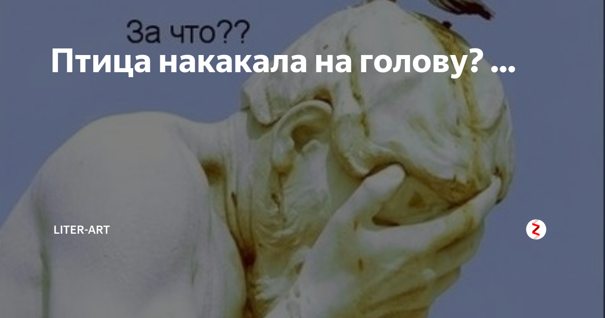 К чему снится быть обкаканным птицами