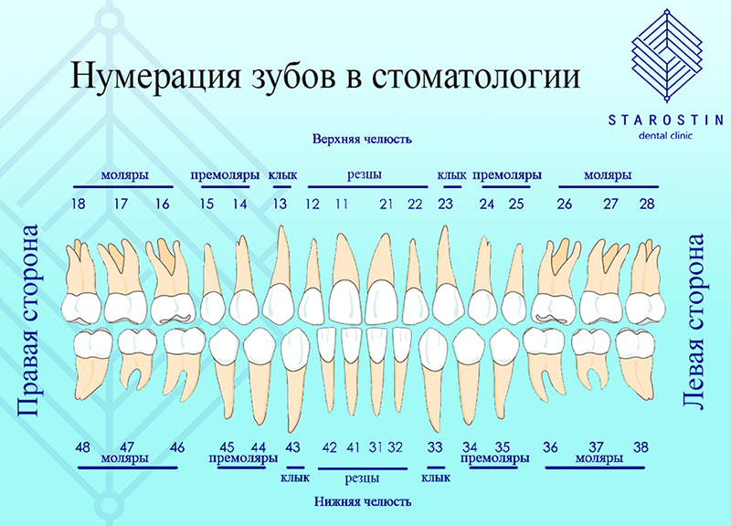 Сонник раскрошились коронки зубов. к чему снится раскрошились коронки зубов видеть во сне - сонник дома солнца