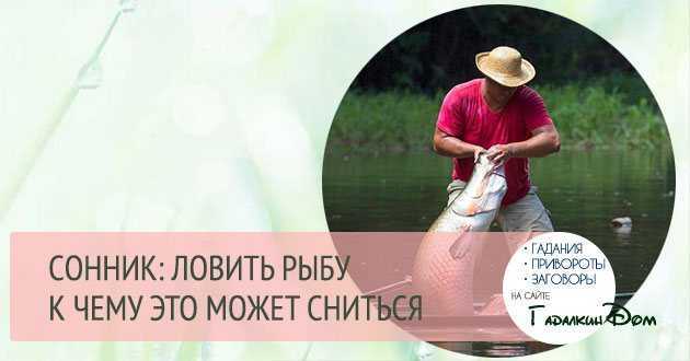 К чему снится кушать рыбу? толкование по 51 соннику